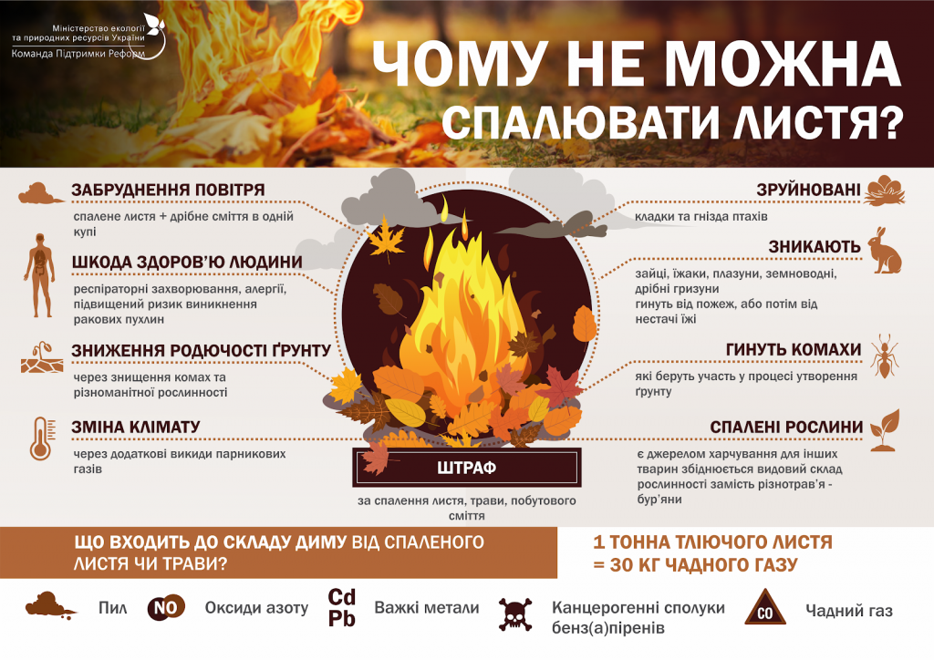 інфографіки_спалювання листя_2