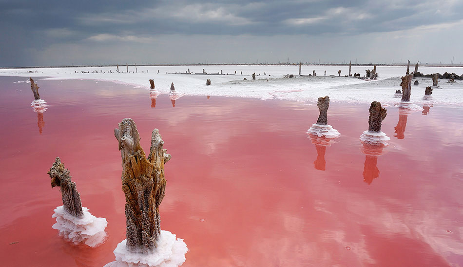 рожеві озера
