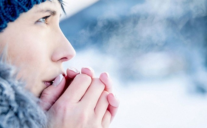 Як пережити перші заморозки у Запоріжжі