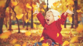 Як зробити гарні фото восени – поради запоріжцям
