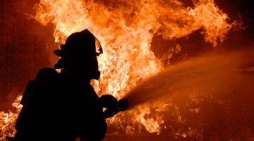 Під час пожежі на запорізькій фермі згоріло майже дві сотні поросят