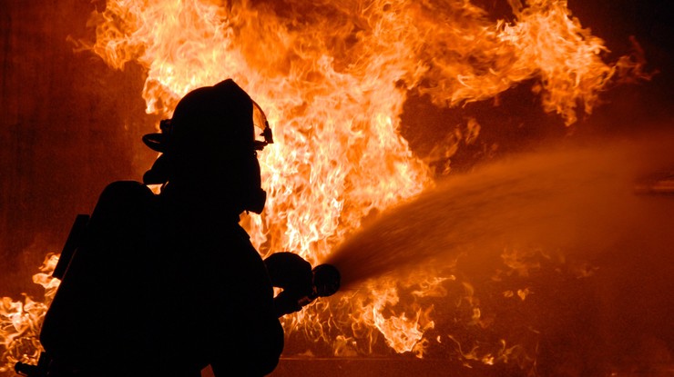 Під час пожежі на запорізькій фермі згоріло майже дві сотні поросят