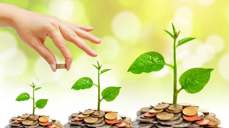 Вчимось заробляти гроші - 8 порад