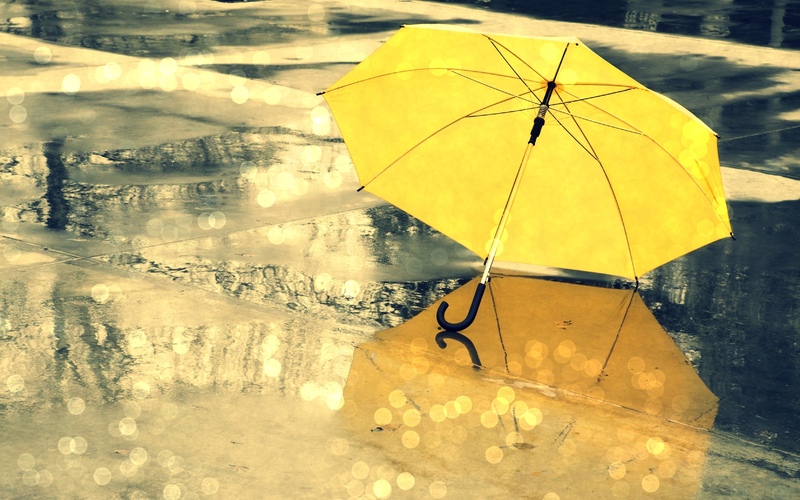 Обираємо парасольку – 7 головних критеріїв