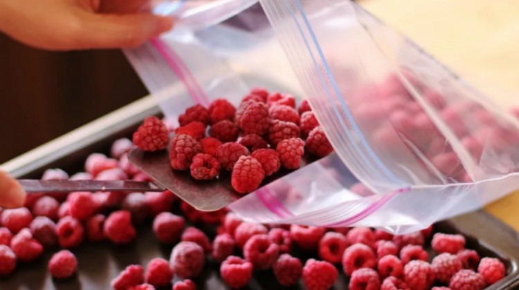 Літо в холодильнику: що і як заморожувати на зиму