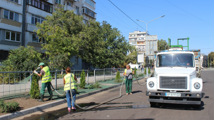 Як у Запоріжжі борються з амброзією