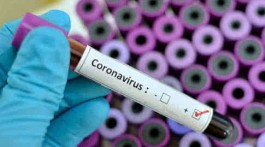 214b846-coronavirus