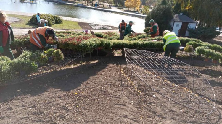 У запорізькому парку з'явиться гігантська 3D-квітка