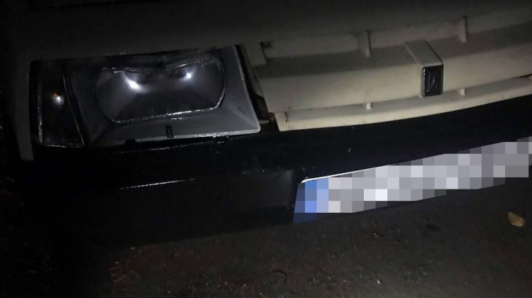 На Запоріжжі п’яний водій скоїв смертельну ДТП