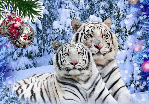 В якому вбранні зустрічати 2022 рік